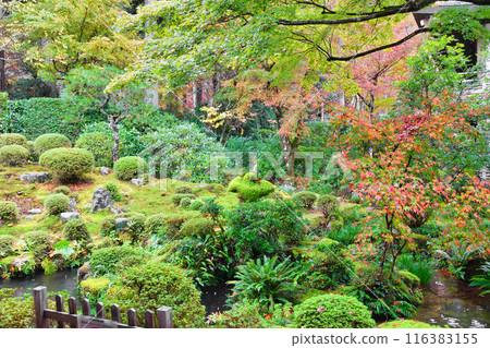 大原三千院秋葉十平園（京都市左京區） 116383155