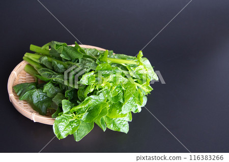 Purple cucumber in a colander Purple cucumber in a colander 116383266