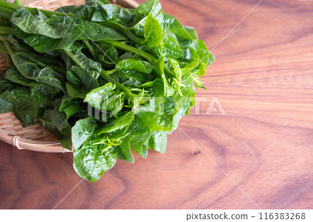 Purple cucumber in a colander Purple cucumber in a colander 116383268