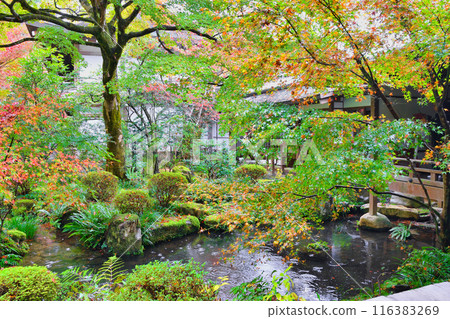 Ohara Sanzenin Temple - Autumn leaves at Shuhekien Garden (Sakyo Ward, Kyoto City) 116383269