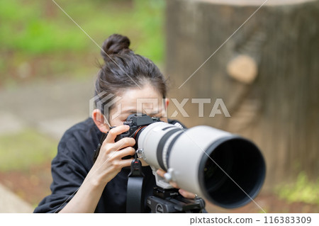 Photographer woman camera 116383309