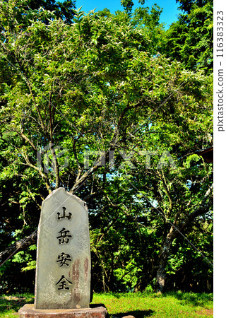 神奈川縣丹澤大山國定公園展望台的風景 116383323