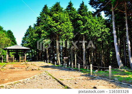 神奈川縣丹澤大山國定公園展望台的風景 神奈川縣丹澤大山國定公園展望台的風景 116383326