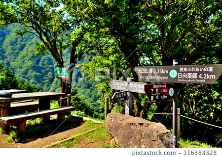 View from the observation deck at Tanzawa-Oyama Quasi-National Park, Kanagawa Prefecture View from the observation deck at Tanzawa-Oyama Quasi-National Park, Kanagawa Prefecture 116383328
