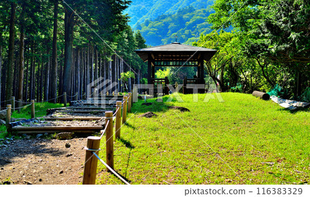 神奈川縣丹澤大山國定公園展望台的風景 神奈川縣丹澤大山國定公園展望台的風景 116383329