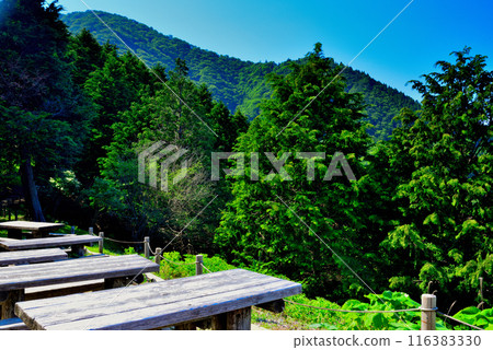 神奈川縣丹澤大山國定公園展望台的風景 116383330
