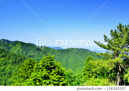 View from the observation deck at Tanzawa-Oyama Quasi-National Park, Kanagawa Prefecture View from the observation deck at Tanzawa-Oyama Quasi-National Park, Kanagawa Prefecture 116383337