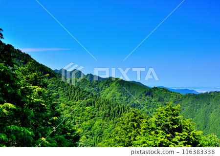 View from the observation deck at Tanzawa-Oyama Quasi-National Park, Kanagawa Prefecture 116383338