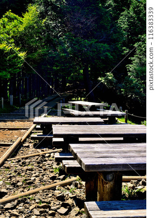 View from the observation deck at Tanzawa-Oyama Quasi-National Park, Kanagawa Prefecture 116383339