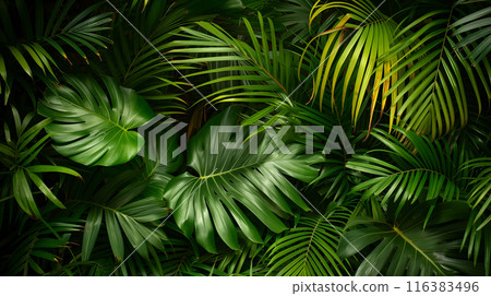 背景紋理的真實插圖，茂盛的棕櫚葉填滿整個螢幕。 116383496