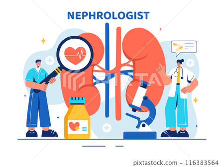 Nephrologist Vector Illustration featuring a Cardiologist, Proctologist, and Kidney Treatment on a Flat Style Cartoon Healthcare Background 116383564