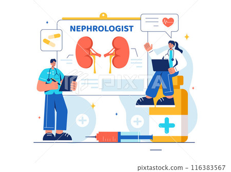 Nephrologist Vector Illustration featuring a Cardiologist, Proctologist, and Kidney Treatment on a Flat Style Cartoon Healthcare Background 116383567