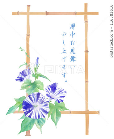 由牽牛花(江戶紫色)和竹子的水彩插圖組成的日式框架設計。夏天的形象。 由牽牛花(江戶紫色)和竹子的水彩插圖組成的日式框架設計。夏天的形象。 116383616