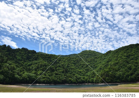奧日光西之湖鱗片雲 奧日光西之湖鱗片雲 116383785