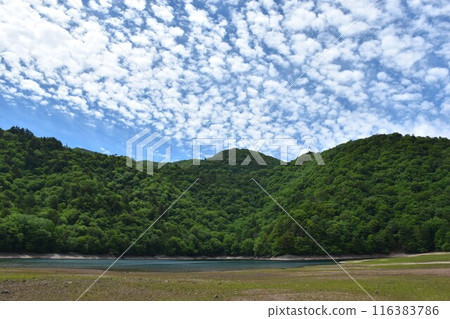 奧日光西之湖鱗片雲 奧日光西之湖鱗片雲 116383786
