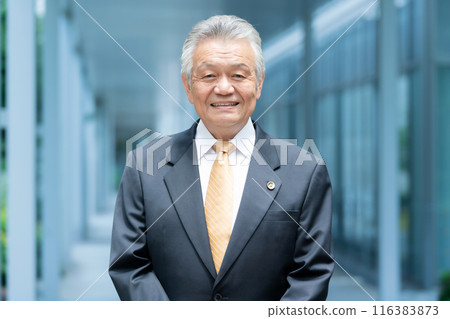 Business senior male lawyer outdoors 116383873