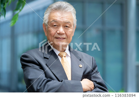 Business senior male lawyer outdoors Business senior male lawyer outdoors 116383894