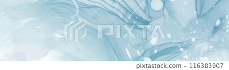 Elegant banner template design with color paint. 116383907