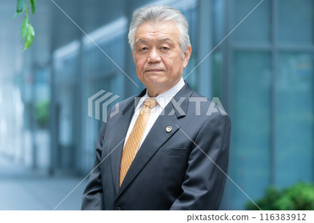 Business senior male lawyer outdoors 116383912