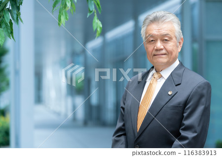 Business senior male lawyer outdoors Business senior male lawyer outdoors 116383913