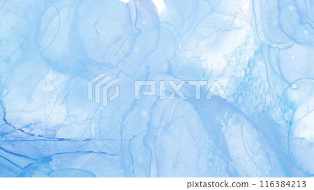 Elegant banner template design with color paint. 116384213