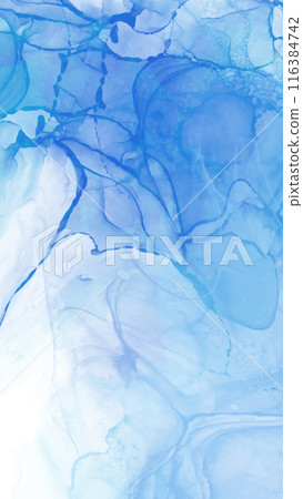 Elegant banner template design with color paint. Elegant banner template design with color paint. 116384742