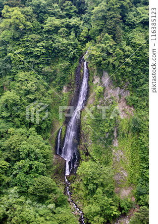 View of Medaki Falls from the Kokonoe "Yume" Suspension Bridge (Kokonoe Town, Oita Prefecture) 116385123