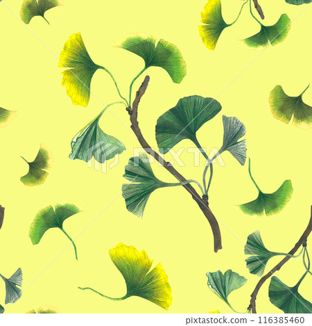 Watercolor illustration of ginkgo biloba twig. Hand drawn, isolated on lemon background Watercolor illustration of ginkgo biloba twig. Hand drawn, isolated on lemon background 116385460