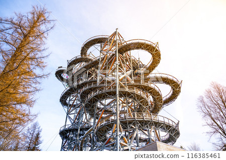 A tall, metal Sky Walk tower with a spiral wooden walkway ascends high above the trees in Swieradow Zdroj, Poland. The tower unique design offers panoramic views of the surrounding forest. A tall, metal Sky Walk tower with a spiral wooden walkway ascends high above the trees in Swieradow Zdroj, Poland. The tower unique design offers panoramic views of the surrounding forest. 116385461