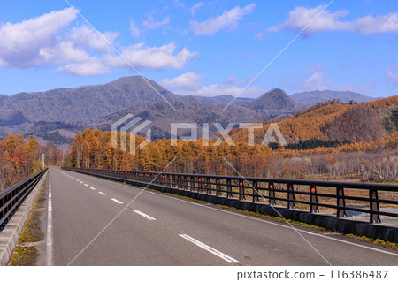 View from Toyonuka Bridge over the Nukabira River in Biratori Town, Hokkaido [November] 116386487