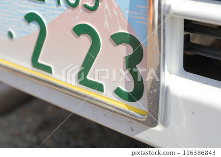 Car number "223" with Mount Fuji design 116386843