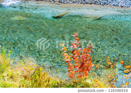 [Autumn material] Kinshu Kamikochi / trekking scenery [Nagano Prefecture] 116386916