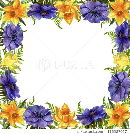 Beautiful square frame of daffodils and anemones. A watercolor flowers on a white background. 116387057