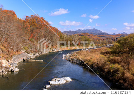 The Saru River flowing between autumn leaves and the Hidaka Mountains in Biratori Town, Hokkaido [November] 116387124