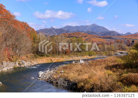The Saru River flowing between autumn leaves and the Hidaka Mountains in Biratori Town, Hokkaido [November] 116387125