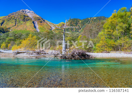 [Kamikochi Materials] Autumn in Kamikochi and Mt. Yakedake [Nagano Prefecture] 116387141