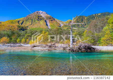 [Kamikochi Materials] Autumn in Kamikochi and Mt. Yakedake [Nagano Prefecture] 116387142