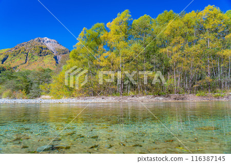 [上高地素材]秋天的上高地/燒岳[長野縣] 116387145
