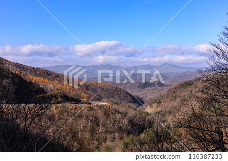 Late autumn mountains seen from Saniwa in Hidaka Town, Hokkaido [November] 116387233