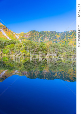 [Autumn material] Scenery around Kamikochi and Taisho Pond in autumn [Nagano Prefecture] 116387254