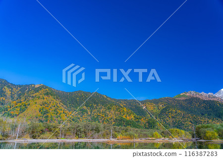 [秋季素材]秋季上高地和大正池周圍的風景[長野縣] 116387283