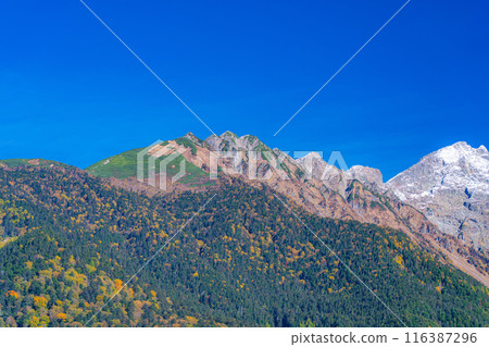 [Autumn material] Scenery around Kamikochi and Taisho Pond in autumn [Nagano Prefecture] 116387296