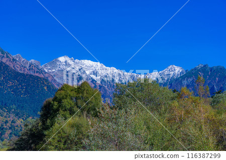 [Autumn material] Scenery around Kamikochi and Taisho Pond in autumn [Nagano Prefecture] 116387299