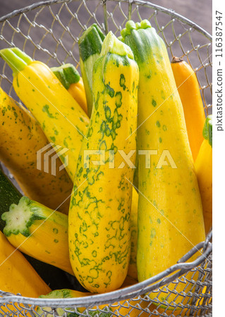 Yellow-green zucchini. Vegetables harvest. 116387547
