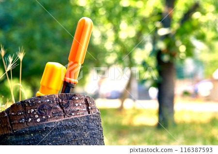 An orange screwdriver, a white LED lamp in an old stump in nature An orange screwdriver, a white LED lamp in an old stump in nature 116387593