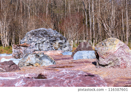 Etonbear Sumanonno (Stone Flower) Monument Park, Biratori Town, Hokkaido [November] 116387601