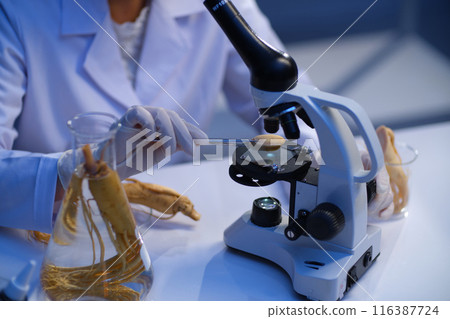 Ginseng experiment photography with scene of a scientist uses tweezers to place a slice of ginseng under a microscope, which placed on a white table, next to many experiment tools containing ginseng 116387724