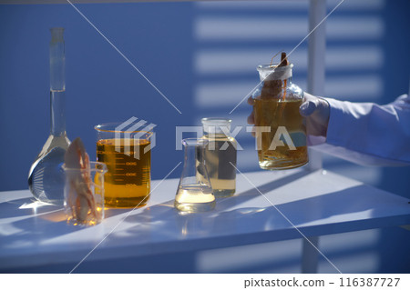 A glass bottle of ginseng and light yellow fluid prepare to be placed by plenty experiment glassware, which displayed on the lab shelf. Creative photo for advertising with space for text A glass bottle of ginseng and light yellow fluid prepare to be placed by plenty experiment glassware, which displayed on the lab shelf. Creative photo for advertising with space for text 116387727