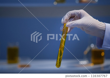 Advertising photo with ginseng experiment concept, was shot from front. The scientist hold a test tube contains yellow fluid and ginseng, behind of it is a laboratory shelf Advertising photo with ginseng experiment concept, was shot from front. The scientist hold a test tube contains yellow fluid and ginseng, behind of it is a laboratory shelf 116387767