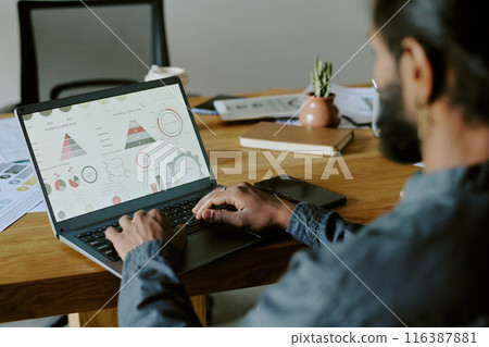 Medium close up of silver laptop demonstrating screen with pastel colored diagrams and young man filling diagrams with information Medium close up of silver laptop demonstrating screen with pastel colored diagrams and young man filling diagrams with information 116387881